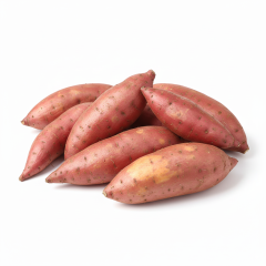 Fresh Sweet Potato - Premium Farm-Direct Wholesale Supply