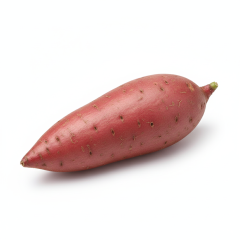 Fresh Sweet Potato - Premium Farm-Direct Wholesale Supply