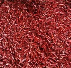 Whole Dried Chilli - Premium Export Grade Red Chili for Industrial Processing