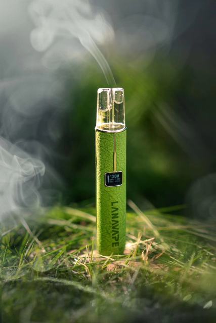 LANA 皮革主機【全場只賣正品】 電子顯示屏以及多功能功率切換 通用所有一代主機