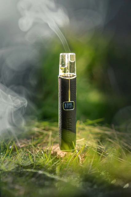 LANA 皮革主機【全場只賣正品】 電子顯示屏以及多功能功率切換 通用所有一代主機