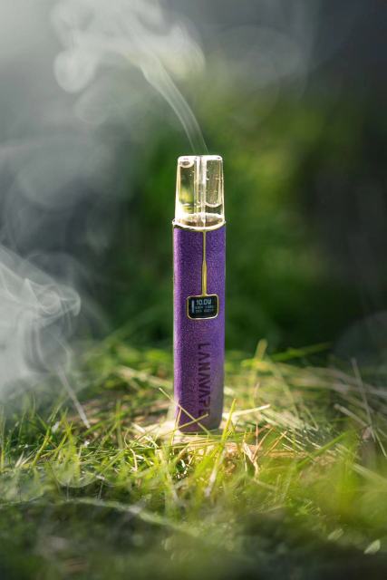 LANA 皮革主機【全場只賣正品】 電子顯示屏以及多功能功率切換 通用所有一代主機