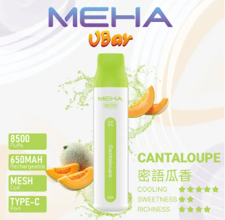 新款上新-MEHA8500口抛棄式 【全場只賣正品】