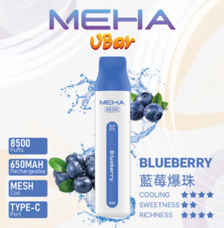 新款上新-MEHA8500口抛棄式 【全場只賣正品】