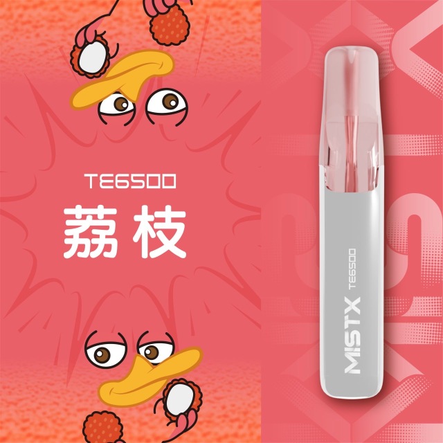 Mist X TE6500口鴨嘴獸一次性電子煙|拋棄式免充電【新品上市！買五贈一！】
