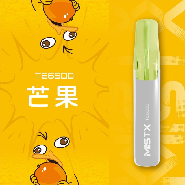 Mist X TE6500口鴨嘴獸一次性電子煙|拋棄式免充電【新品上市！買五贈一！】