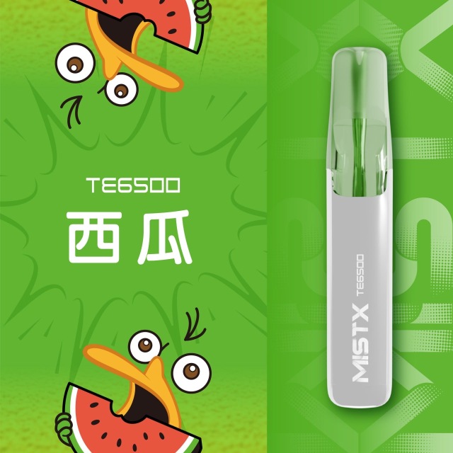 Mist X TE6500口鴨嘴獸一次性電子煙|拋棄式免充電【新品上市！買五贈一！】