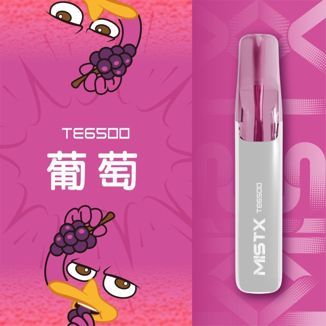 Mist X TE6500口鴨嘴獸一次性電子煙|拋棄式免充電【新品上市！買五贈一！】