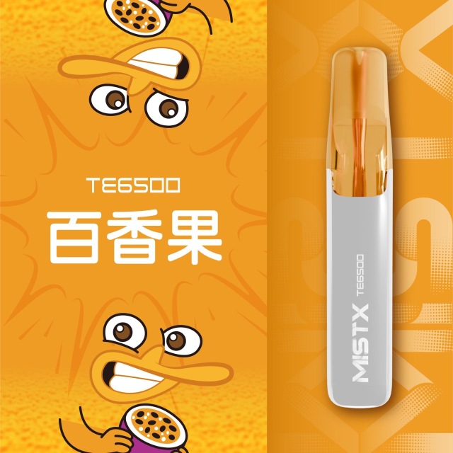 Mist X TE6500口鴨嘴獸一次性電子煙|拋棄式免充電【新品上市！買五贈一！】