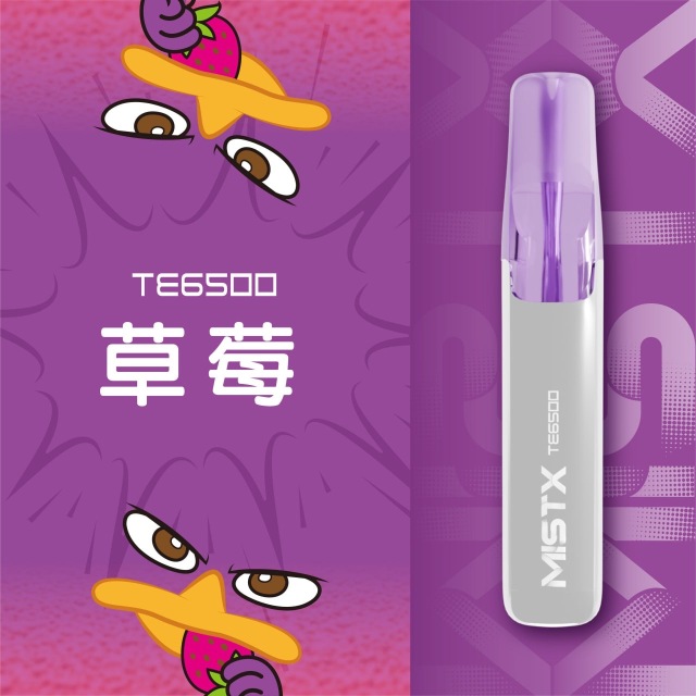 Mist X TE6500口鴨嘴獸一次性電子煙|拋棄式免充電【新品上市！買五贈一！】