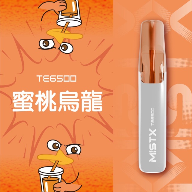 Mist X TE6500口鴨嘴獸一次性電子煙|拋棄式免充電【新品上市！買五贈一！】
