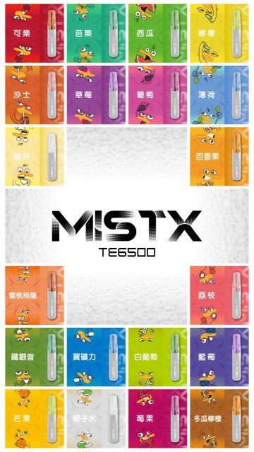 Mist X TE6500口鴨嘴獸一次性電子煙|拋棄式免充電【新品上市！買五贈一！】