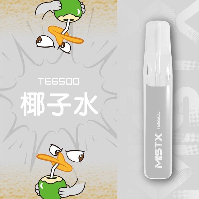 Mist X TE6500口鴨嘴獸一次性電子煙|拋棄式免充電【新品上市！買五贈一！】