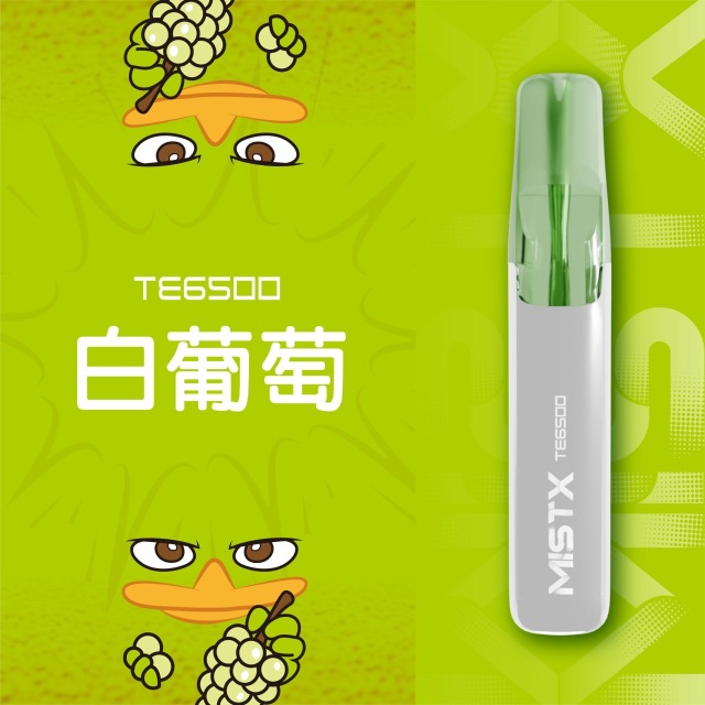 Mist X TE6500口鴨嘴獸一次性電子煙|拋棄式免充電【新品上市！買五贈一！】