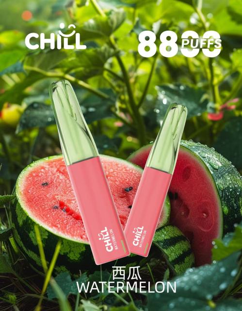 CHILL始祖鳥一次性8800口【限時活動！買十送一】