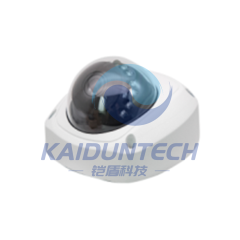 2MP Indoor IP/Network IR Mini Vandal Dome Camera