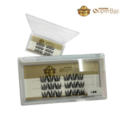 DIY  LASH SG-38(分段小雏菊