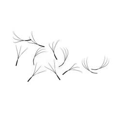 Caramel Color 6D W Shape Premade Fans 0.07 Eyelash Extensions