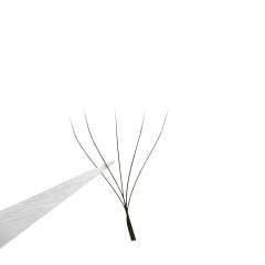 Caramel Color 5D W Shape Premade Fans 0.07 Eyelash Extensions