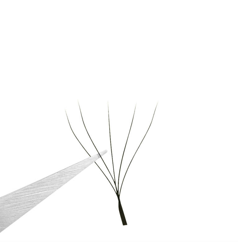 Caramel Color 5D W Shape Premade Fans 0.07 Eyelash Extensions