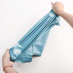 Wholesale Express Shipping Envelope poly