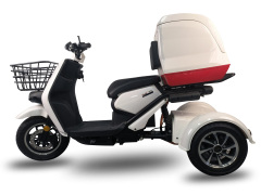 BTO-3