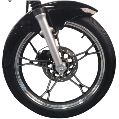 BEN TIAN