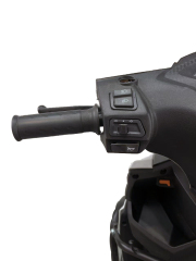 ZL-10
