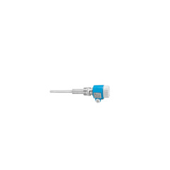 Swiss E+H tuning fork level switch model FTM20- VG25A