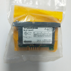 German Turck 2-Channel Analog Input Module BL67-2AI-PT