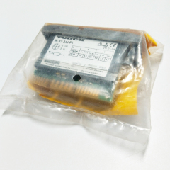 German Turck 2-Channel Analog Input Module BL67-2AI-PT