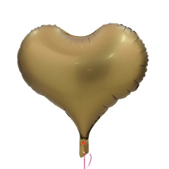 DS2024070426-10