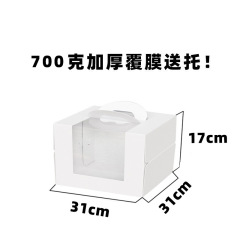 AK2024073002-17