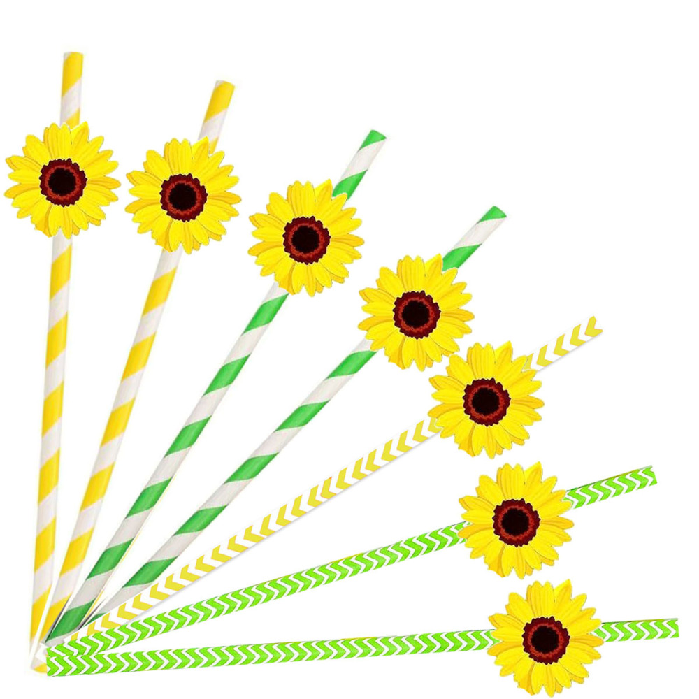 Small Flower Daisies Flower Orange Creative Paper Straw