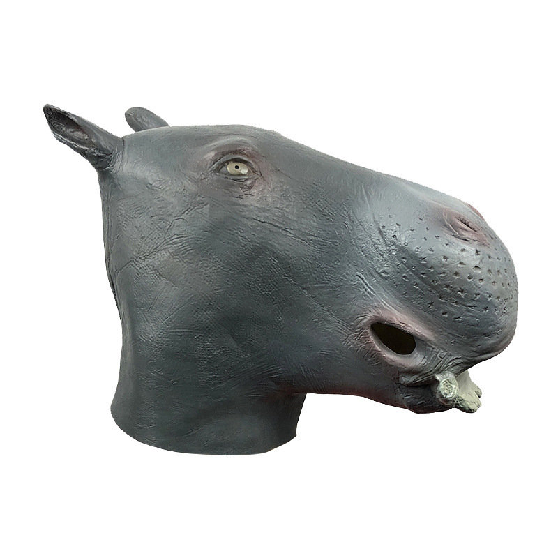 Cute hippo with a mask