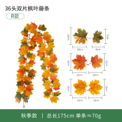 FY2024081703-01