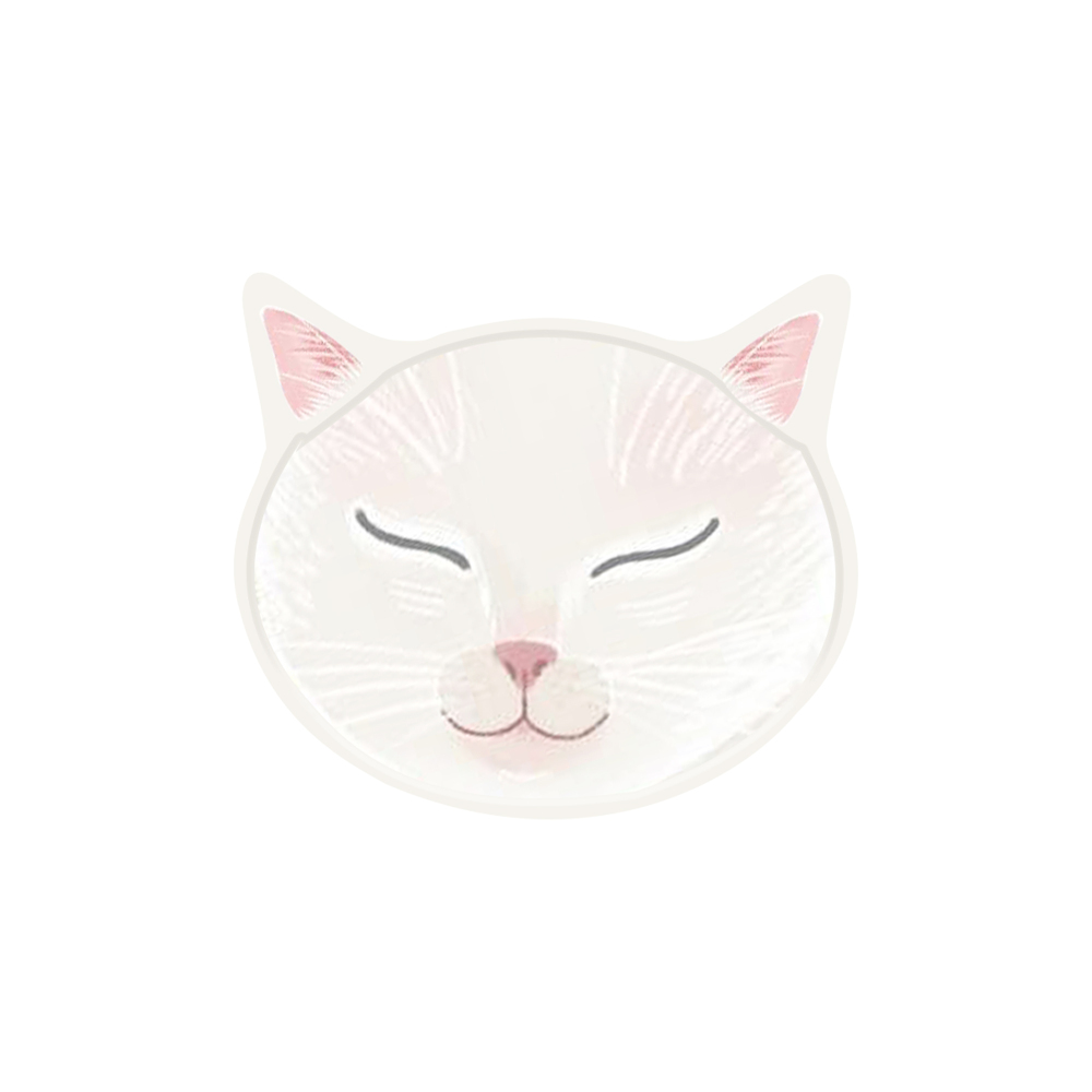 DAMAI New Design Party Supply Kits Animal Theme Cat Shape Disposable Party Paper Plates Tableware Sets for Kid Party