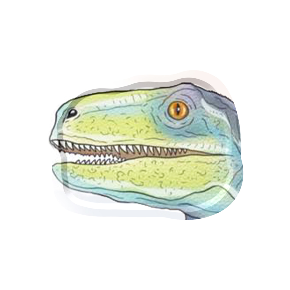 DAMAI New Design Party Supply Kits Animal Theme Dinosaur Shape Disposable Party Paper Plates Tableware Sets for Kid Party