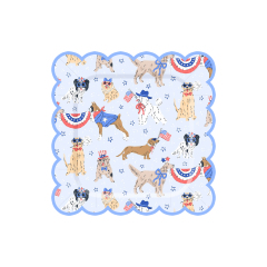 10.5inch paper plate