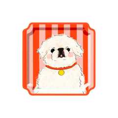 10.5 inch paper plate*8 pcs