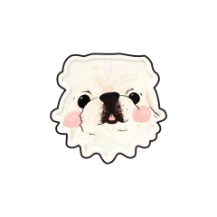 7 inch paper plate*8 pcs