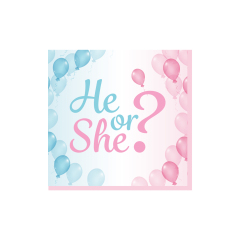 33*33cm napkin*16pcs