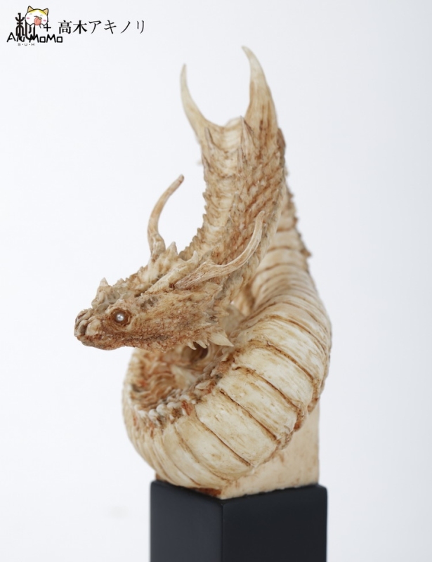 Python by Akinori Takaki x Manas SUM