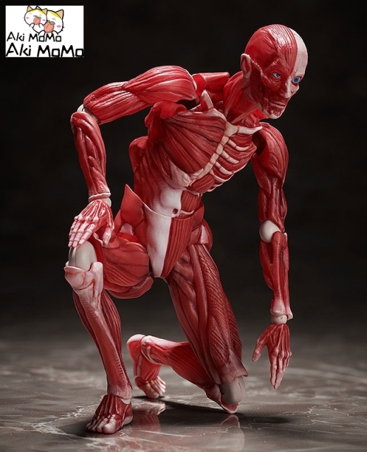 (Pre-order) FREEing figma Human Anatomical Model