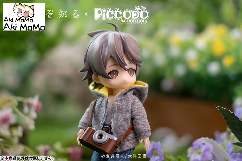 (Pre-order Closed) GENESIS PICCODO Hana nomizo Shiru Youichi Arikawa Deformed Doll