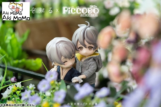(Pre-order Closed) GENESIS PICCODO Hana nomizo Shiru Youichi Arikawa Deformed Doll