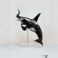 ReLife Studio WUSeries 04 Orca X Common Bottlenose Dolphin JIN YU 1/10 Statue