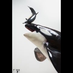 ReLife Studio WUSeries 04 Orca X Common Bottlenose Dolphin JIN YU 1/10 Statue