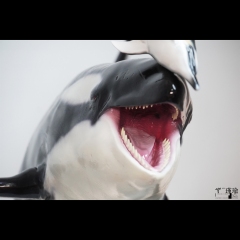 ReLife Studio WUSeries 04 Orca X Common Bottlenose Dolphin JIN YU 1/10 Statue