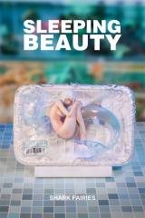 WeArtDoing Sleeping Beauty Shark Fairies Silver Fin Figure